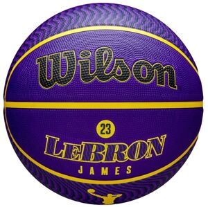 Wilson NBA Player Icon Outdoor Lebron Veľkosť: size: 7